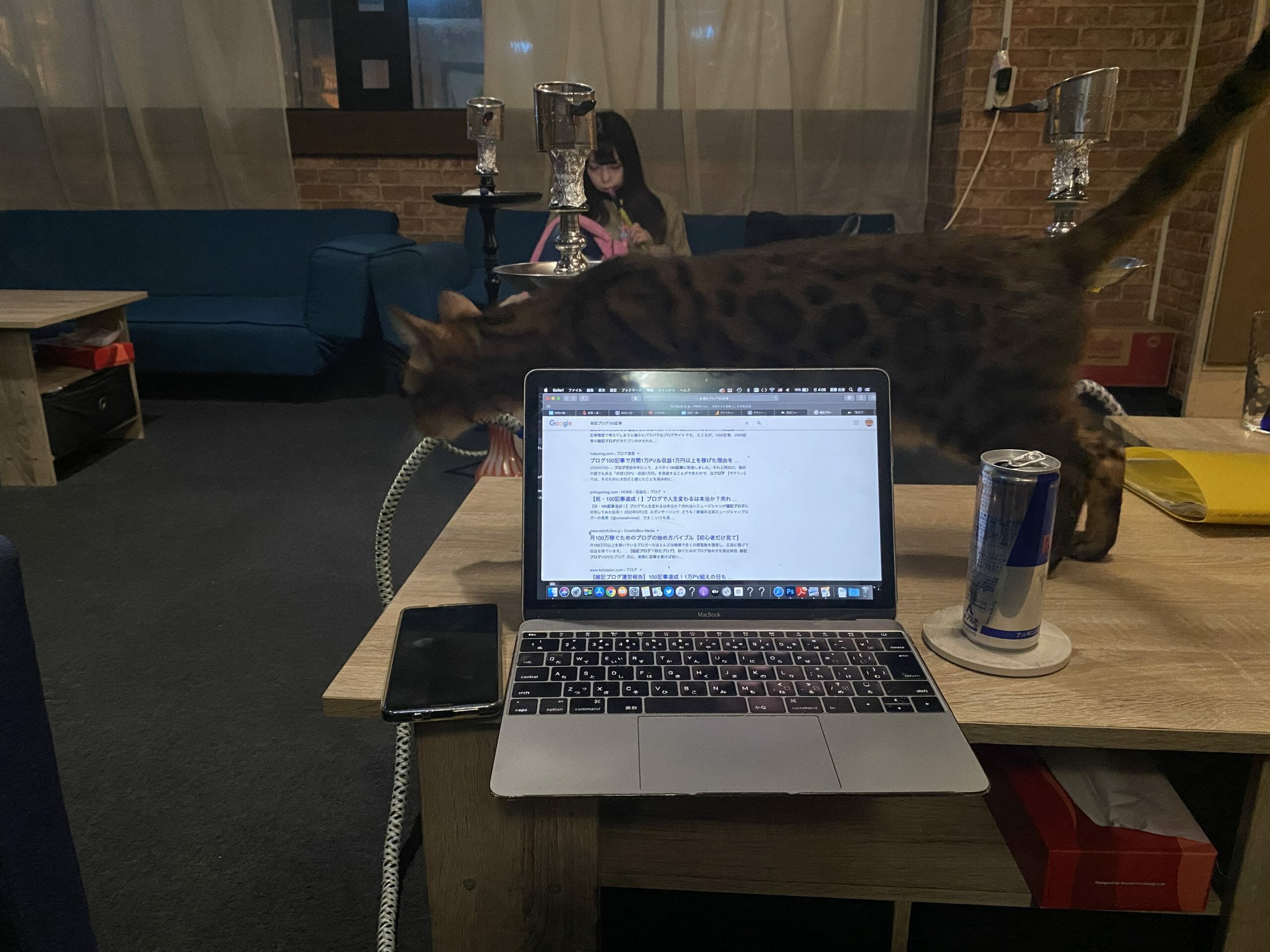 猫とシーシャとブログ