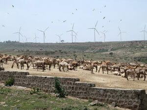 アフリカの風力発電の光景