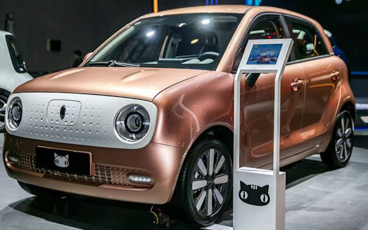 Greatwall「ora blackcat」