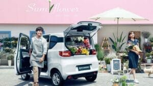 「Wuling HongGuang Mini EV」の広告