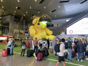 ドーハハマド国際空港の熊